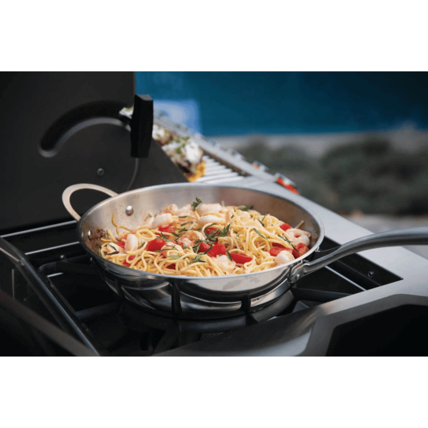 GRILLDEN™ prestige pro™ 825 rsbi napoleon