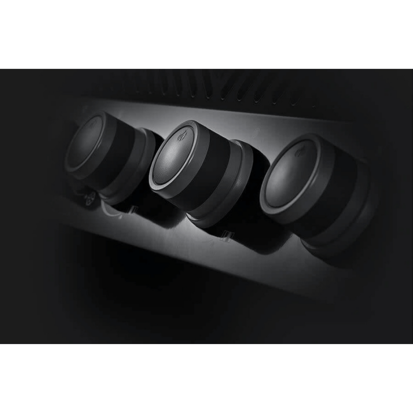 GRILLDEN™ rogue® xt 525 sib napoleon